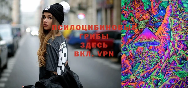 сатива Аркадак