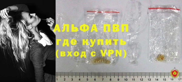 сатива Аркадак