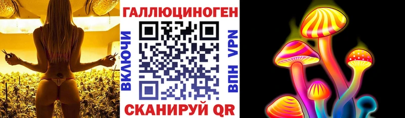Галлюциногенные грибы Psilocybe  Узловая 